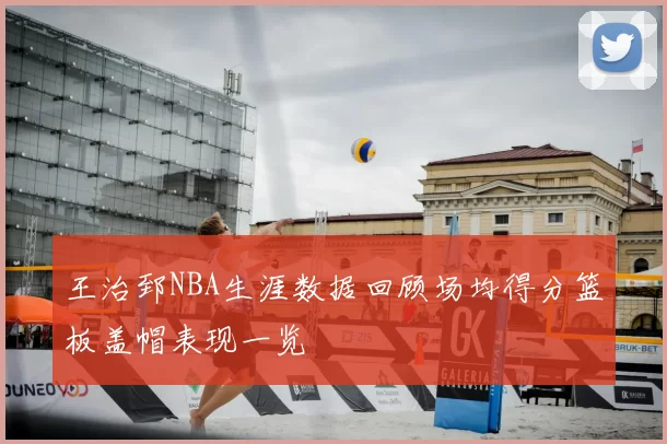 王治郅NBA生涯数据回顾场均得分篮板盖帽表现一览