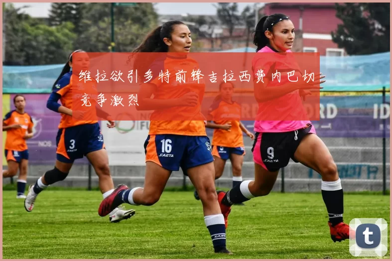 维拉欲引多特前锋吉拉西费内巴切竞争激烈