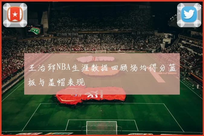 王治郅NBA生涯数据回顾场均得分篮板与盖帽表现