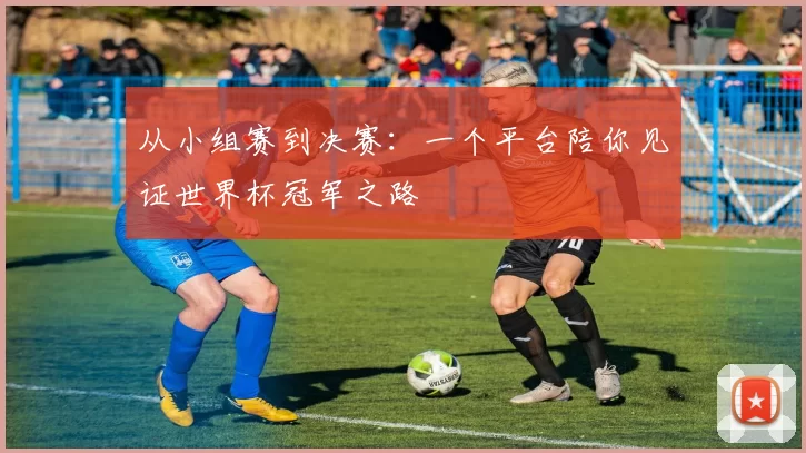 从小组赛到决赛：一个平台陪你见证世界杯冠军之路