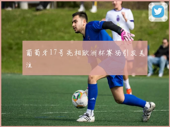 葡萄牙17号亮相欧洲杯赛场引发关注