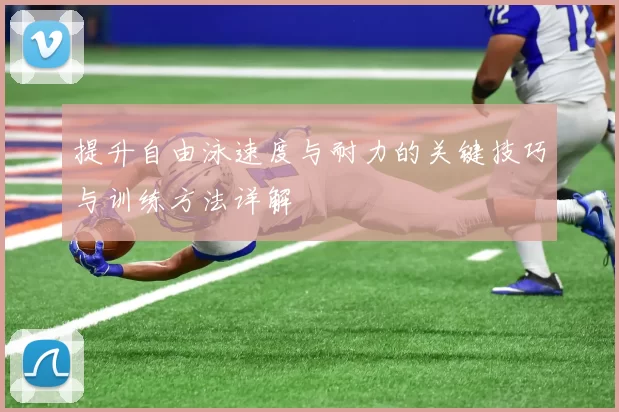 提升自由泳速度与耐力的关键技巧与训练方法详解