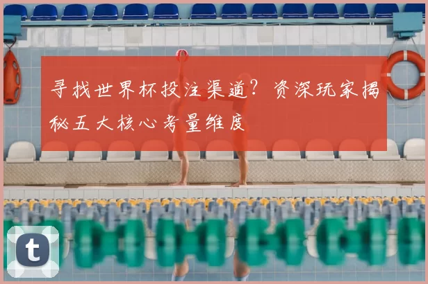 寻找世界杯投注渠道？资深玩家揭秘五大核心考量维度