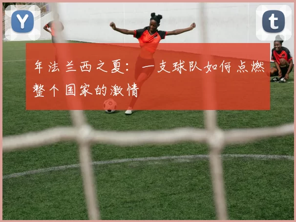 年法兰西之夏：一支球队如何点燃整个国家的激情