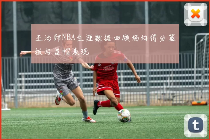 王治郅NBA生涯数据回顾场均得分篮板与盖帽表现
