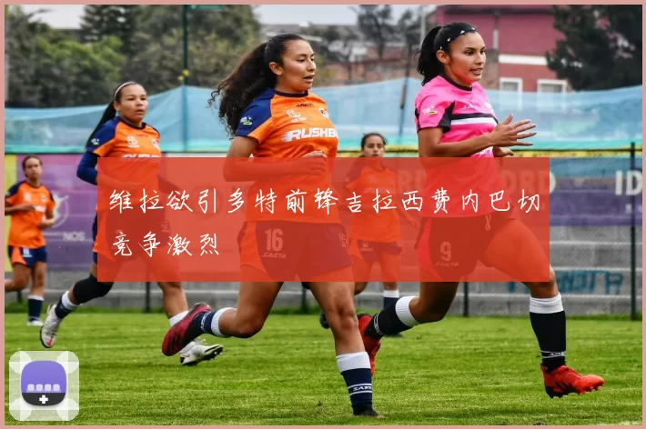 维拉欲引多特前锋吉拉西费内巴切竞争激烈