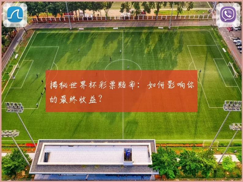 揭秘世界杯彩票赔率:如何影响你的最终收益?